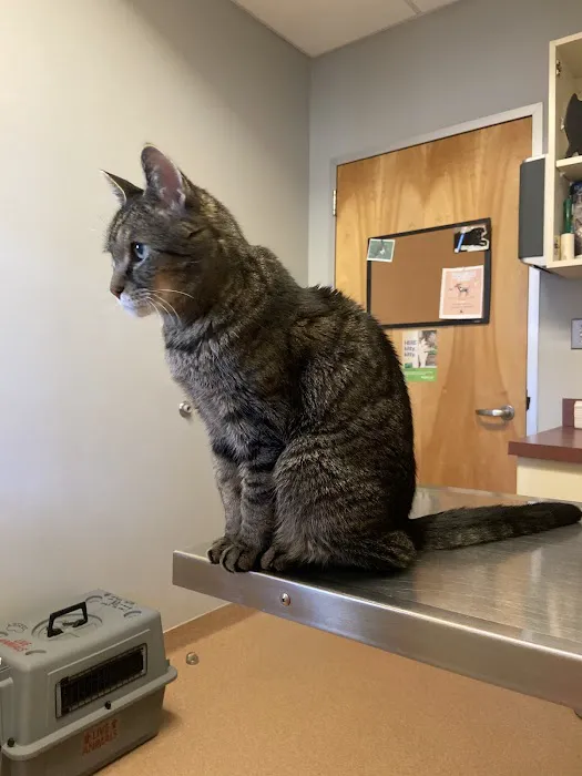 Centralia Animal Hospital 6