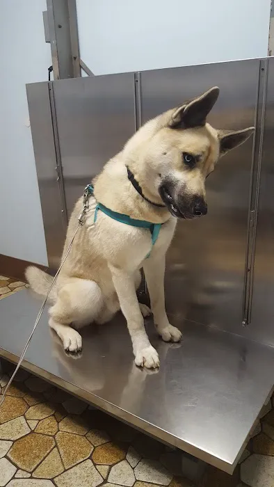 Boulevard Animal Hospital Inc 7