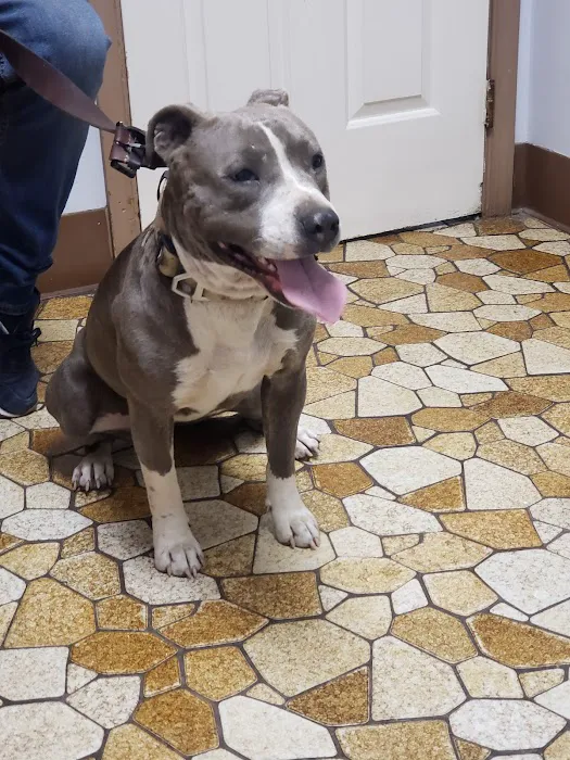 Boulevard Animal Hospital Inc 5
