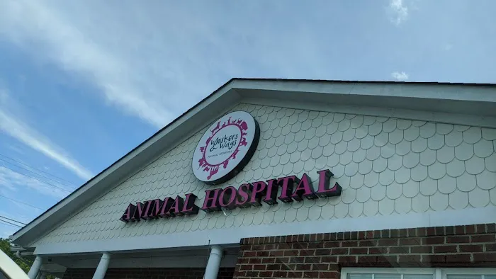 Whiskers and Wags Animal Hospital 9