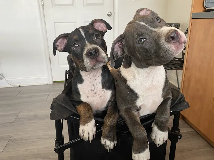 Jones Veterinary Care PLLC 8
