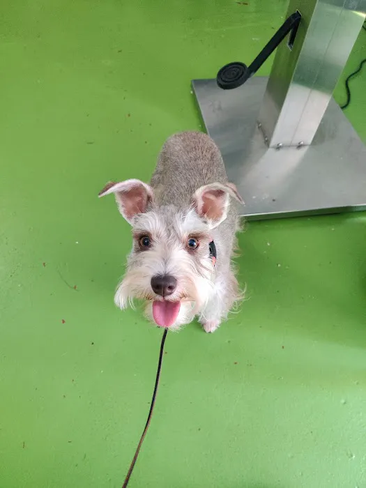 Jones Veterinary Care PLLC 5