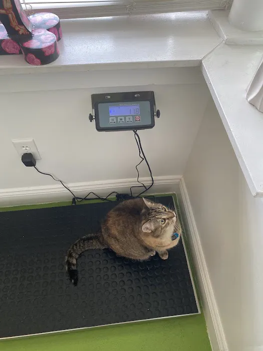Jones Veterinary Care PLLC 2