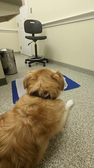 Cary Street Veterinary Hospital 5