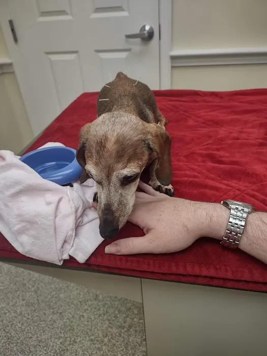 Cary Street Veterinary Hospital 3