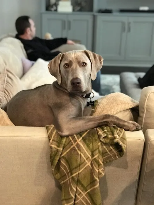 Virginia Veterinary Centers - Richmond 7