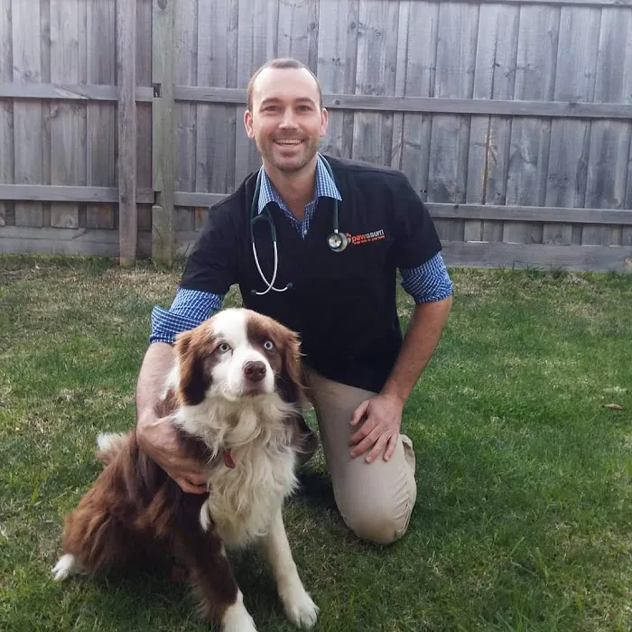 Dr Kathys Mobile Pet Care 9