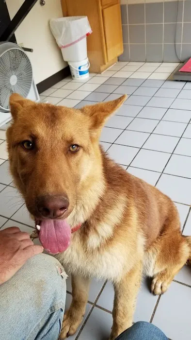 Crocker Animal Hospital Scottsville behind Pizza Hut 12