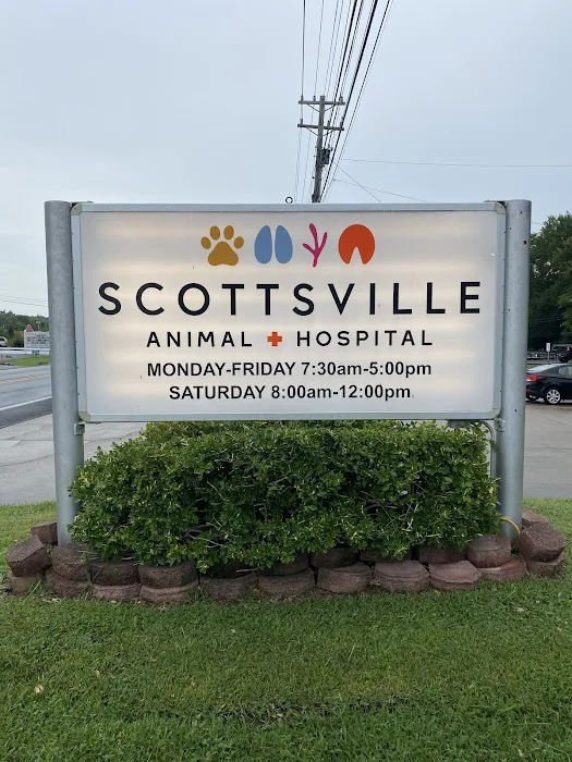 Scottsville Animal Hospital 12