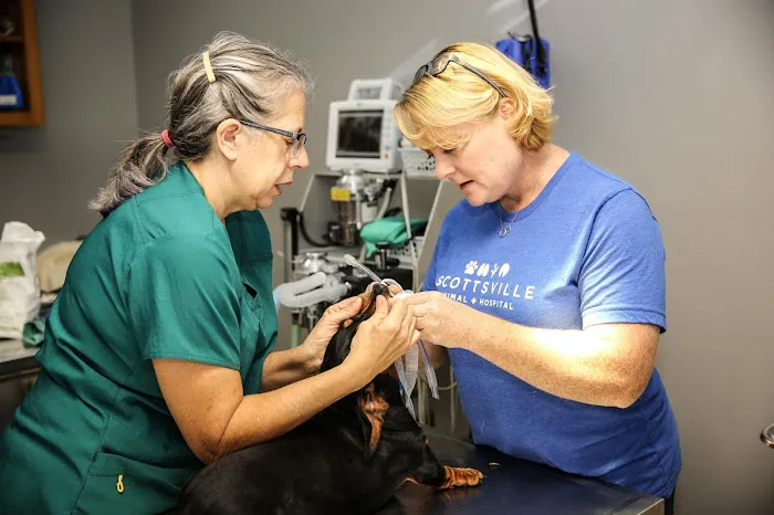 Scottsville Animal Hospital 12