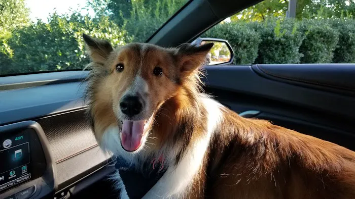 Portland Animal Hospital 2