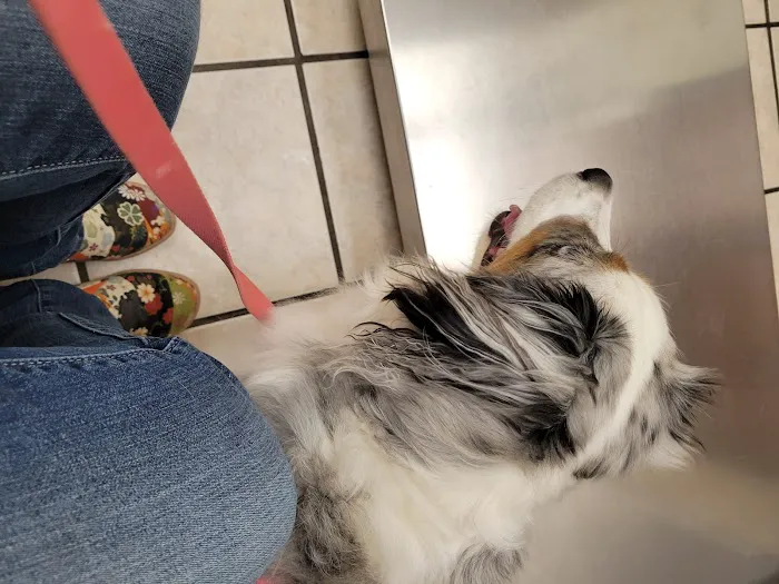 Portland Animal Hospital 3
