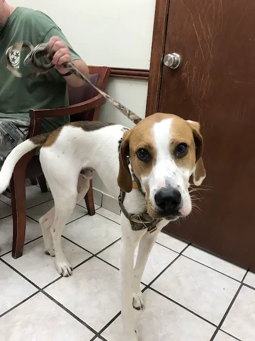 Portland Animal Hospital 9