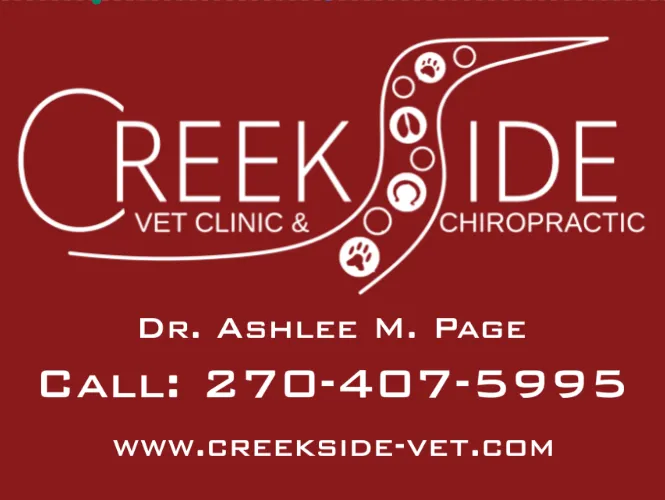 Creekside Veterinary Clinic & Chiropractic 12