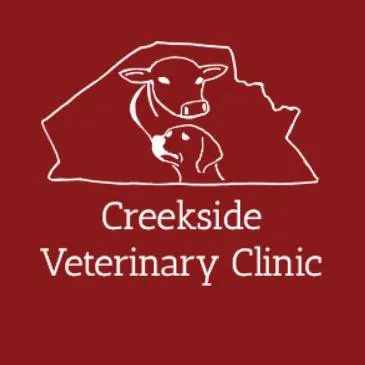 Creekside Veterinary Clinic & Chiropractic 12
