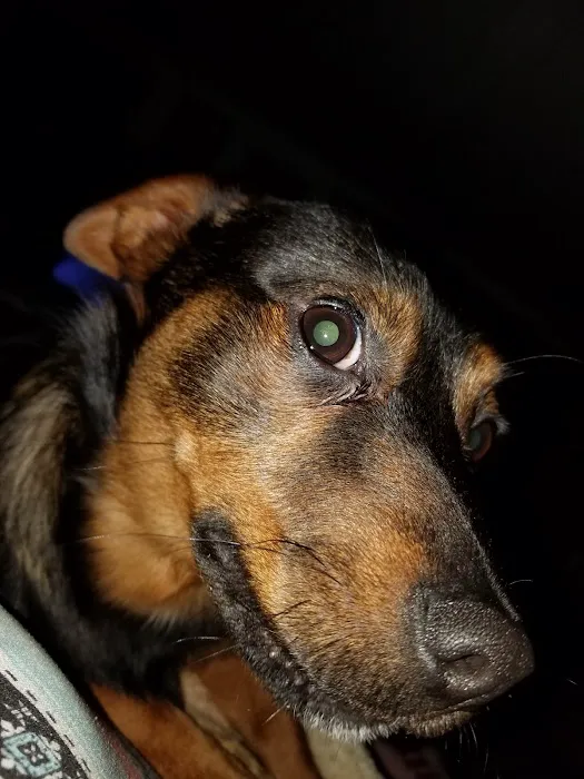 Monroe Veterinary Services, LLC 12