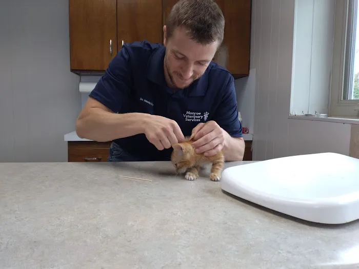 Monroe Veterinary Services, LLC 12
