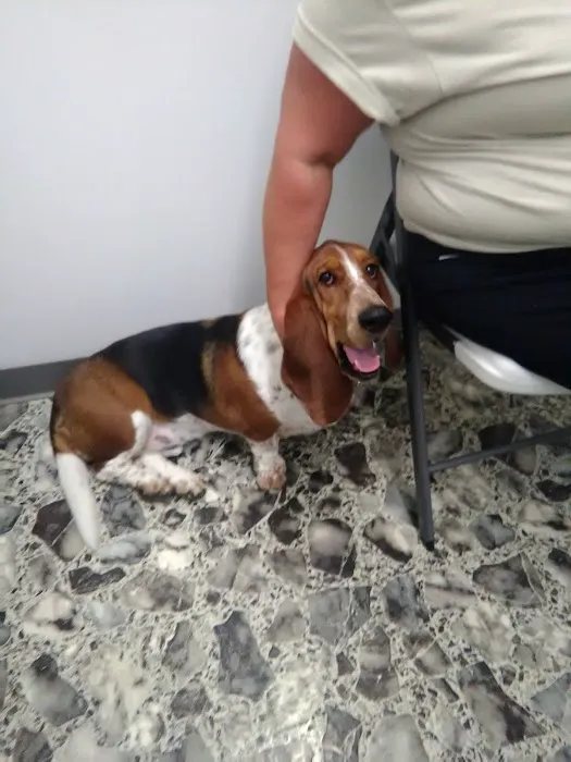 Animal Care Veterinary Center 12