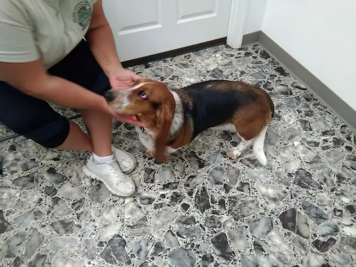 Animal Care Veterinary Center 12
