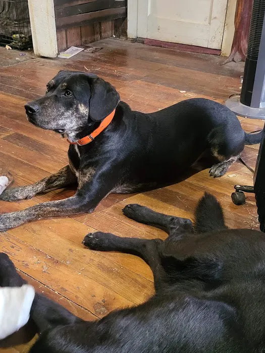 Animal Care Veterinary Center 12