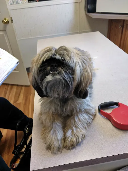 Powellsville Pet Clinic 10