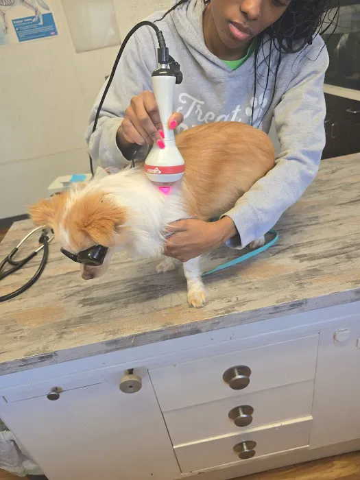 Powellsville Pet Clinic 4