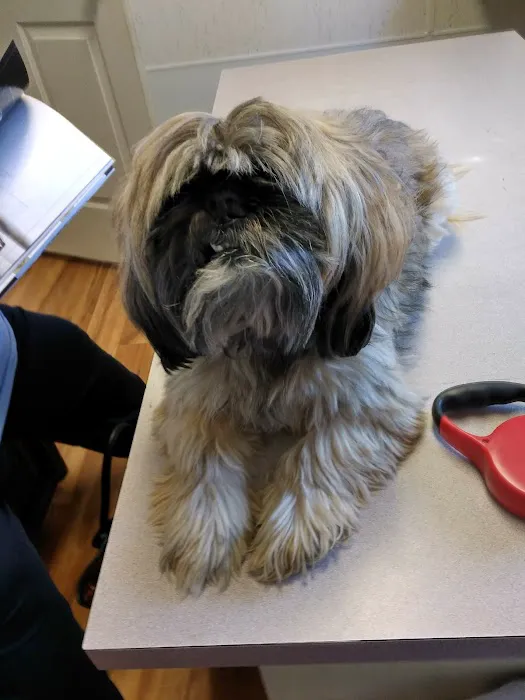 Powellsville Pet Clinic 9