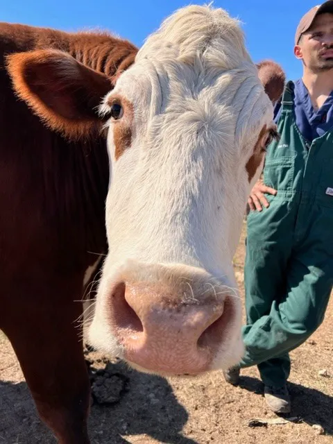 Fox Veterinary Services 5