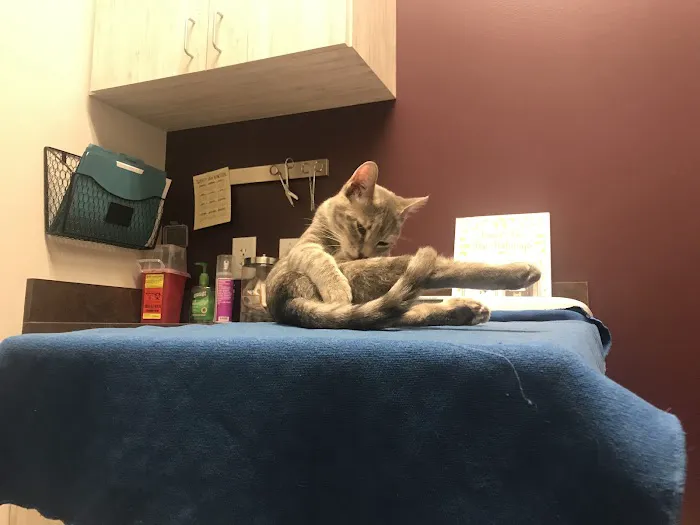 Dripping Springs Animal Hospital 5
