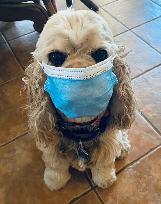 Dripping Springs Animal Hospital 7