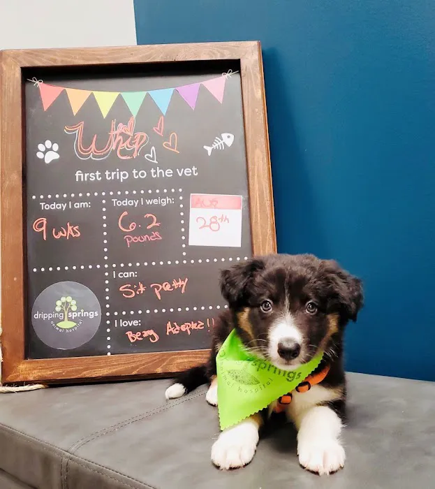 Dripping Springs Animal Hospital 10
