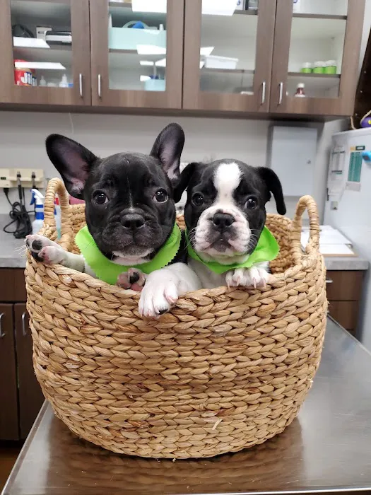 Dripping Springs Animal Hospital 6