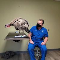 Loving Paws Veterinary Care, LLC ico
