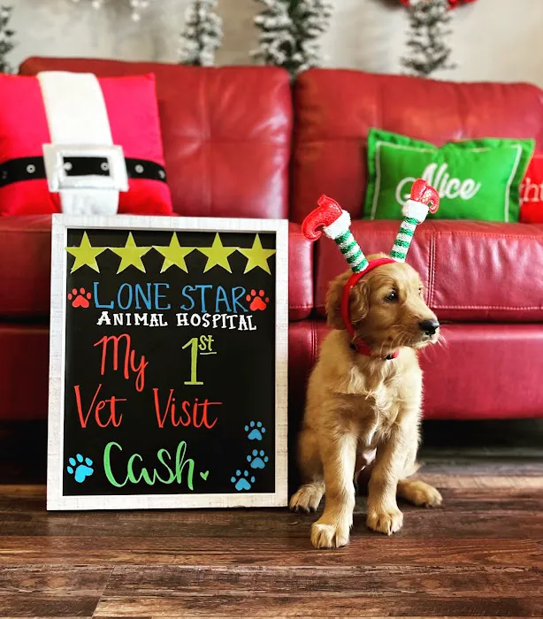 Lone Star Animal Hospital 5