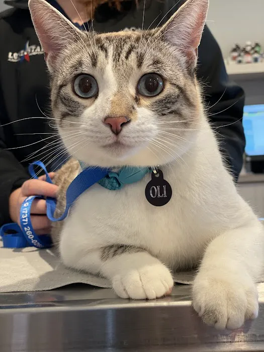 Lone Star Animal Hospital 8
