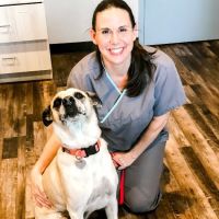 Lone Star Animal Hospital ico