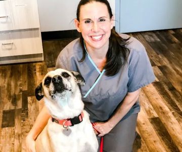Lone Star Animal Hospital