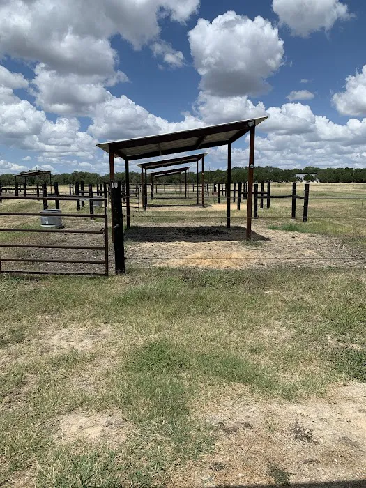 Austin Equine Hospital 5