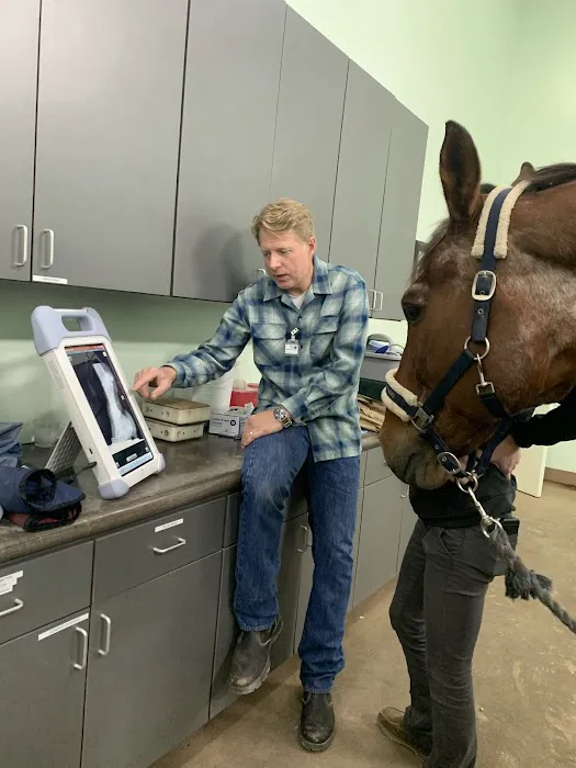 Austin Equine Hospital 4