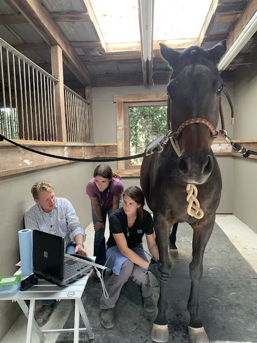 Austin Equine Hospital 3