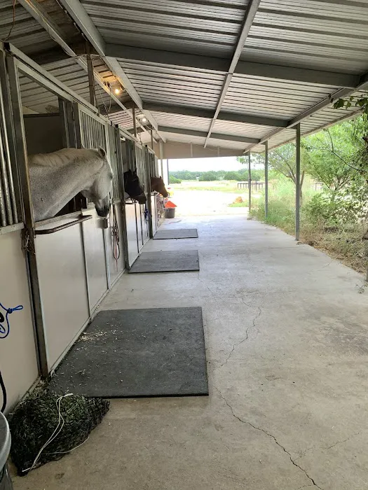 Austin Equine Hospital 7