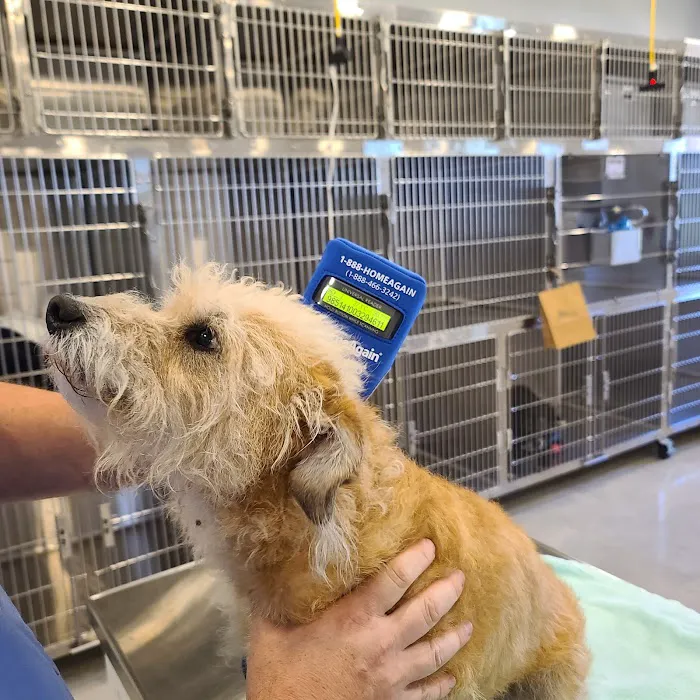 Wildflower Animal Hospital 4