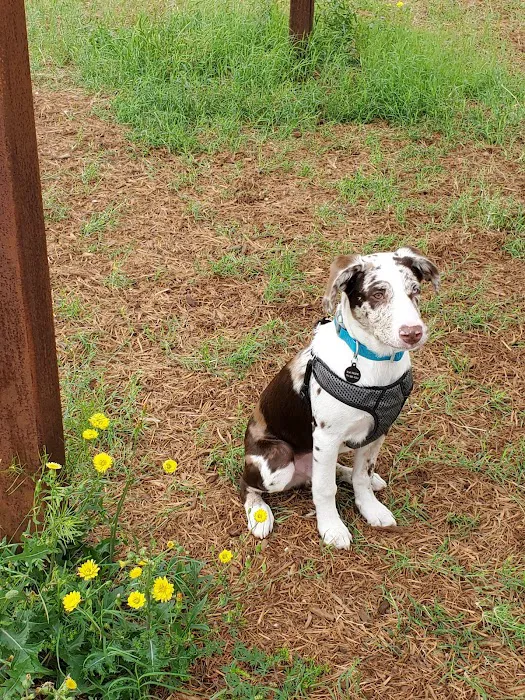 Wildflower Animal Hospital 7