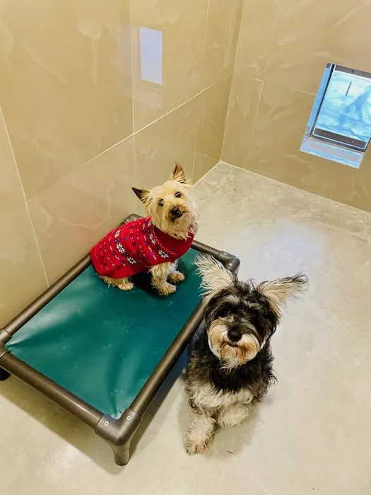 Wildflower Animal Hospital 3