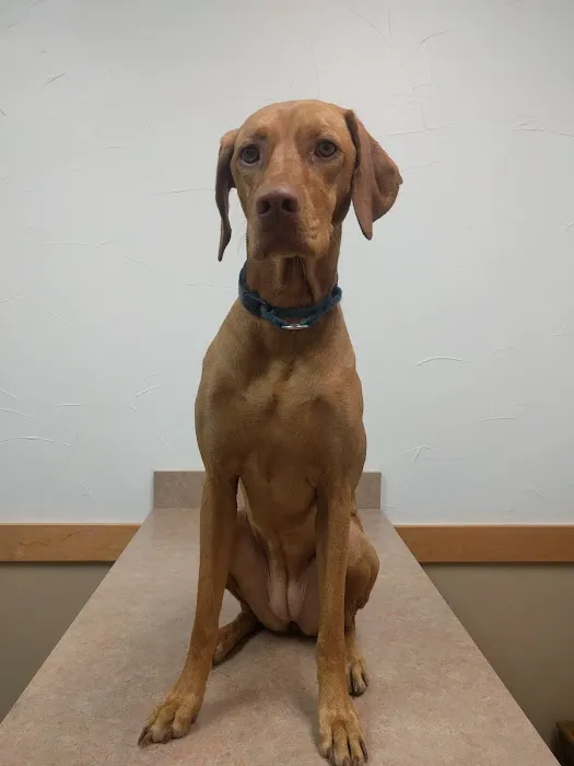 Sunset Canyon Veterinary Clinic 3