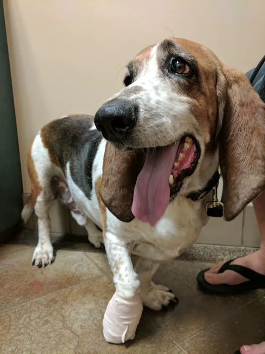 Sunset Canyon Veterinary Clinic 5