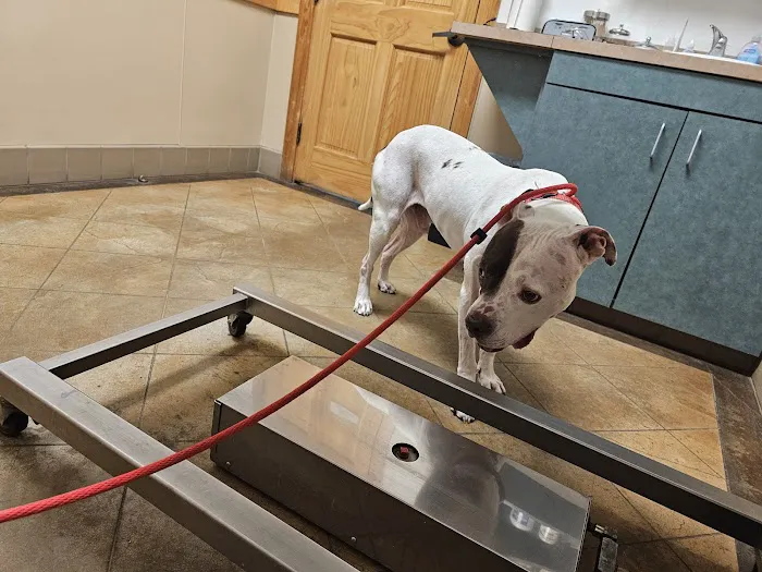 Sunset Canyon Veterinary Clinic: Menigo Erin DVM 1
