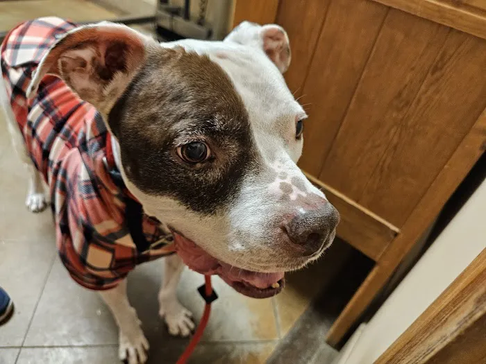 Sunset Canyon Veterinary Clinic: Menigo Erin DVM 5