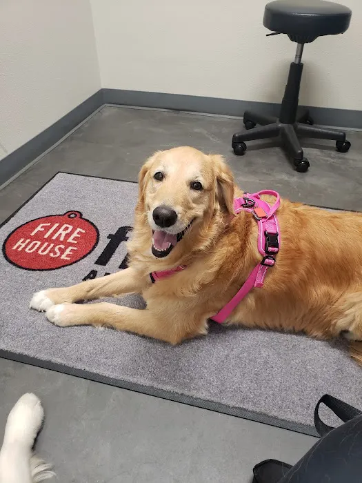 Firehouse Animal Health Center Belterra 3
