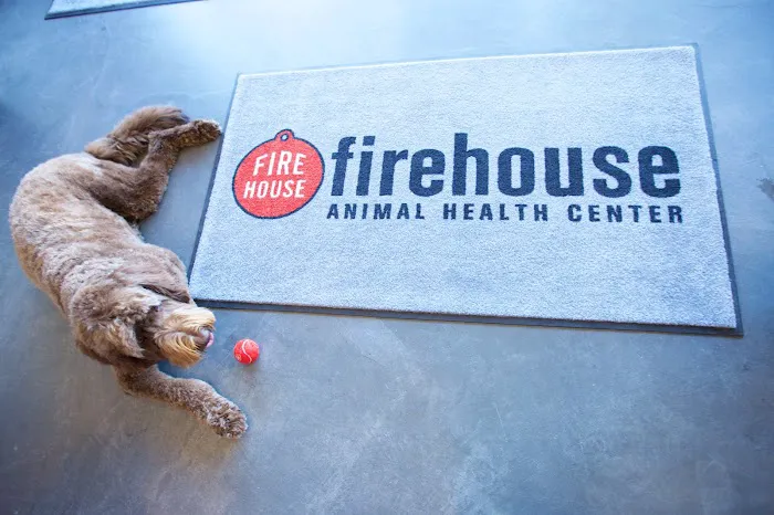 Firehouse Animal Health Center Belterra 7
